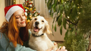 Cuidados com os pets nas festas de final de ano